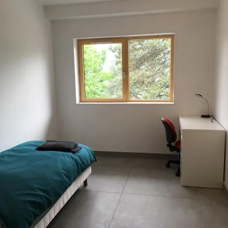 2 Piece Sur Les Hauteurs Apartment Chambery